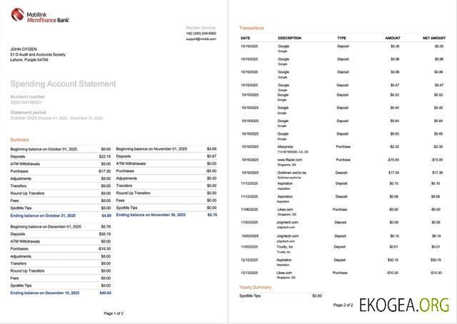 Pakistan Mobilink Microfinance Bank relevé de compte Modèle Word et PDF, 2 pages, version 2